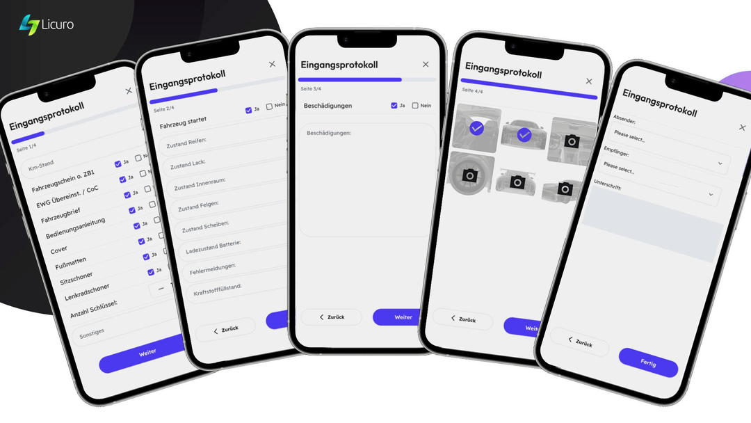 Ausschnitt aus einer maßgeschneiderten App: Eingangs- und Prozessoberfläche